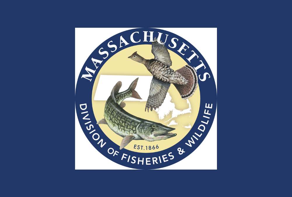 The Morning Show: Tues., July 18, 2023