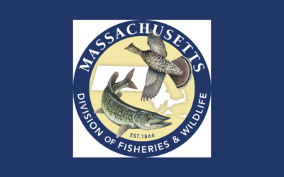 The Morning Show: Tues., July 18, 2023