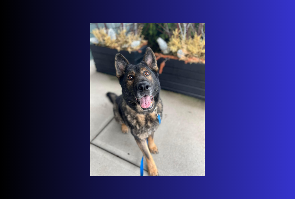 Ryder is ready for a second chance with his new family