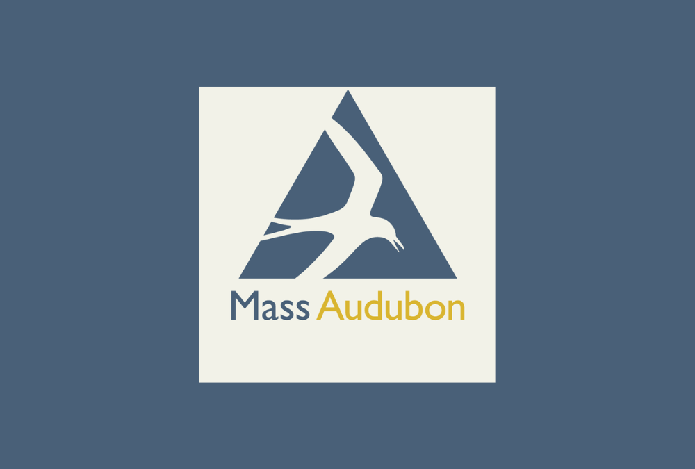 The Morning Show: Tues., Aug. 22, 2023