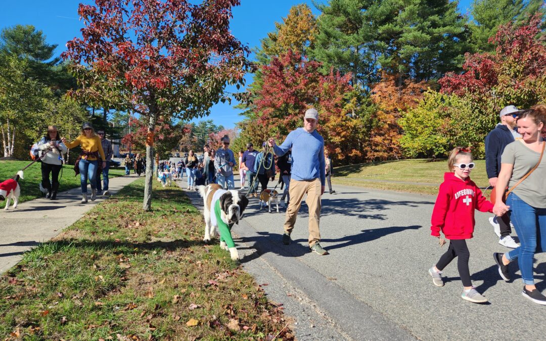 Halloween Costume Contest and Parade Starts Saturday at New Marshfield Dog Park