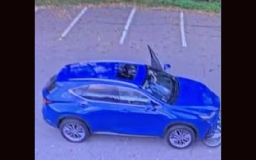 Florida Woman Being Charged In East Bridgewater Hit & Run