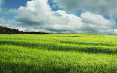 Walk of the Week: June 1, 2023