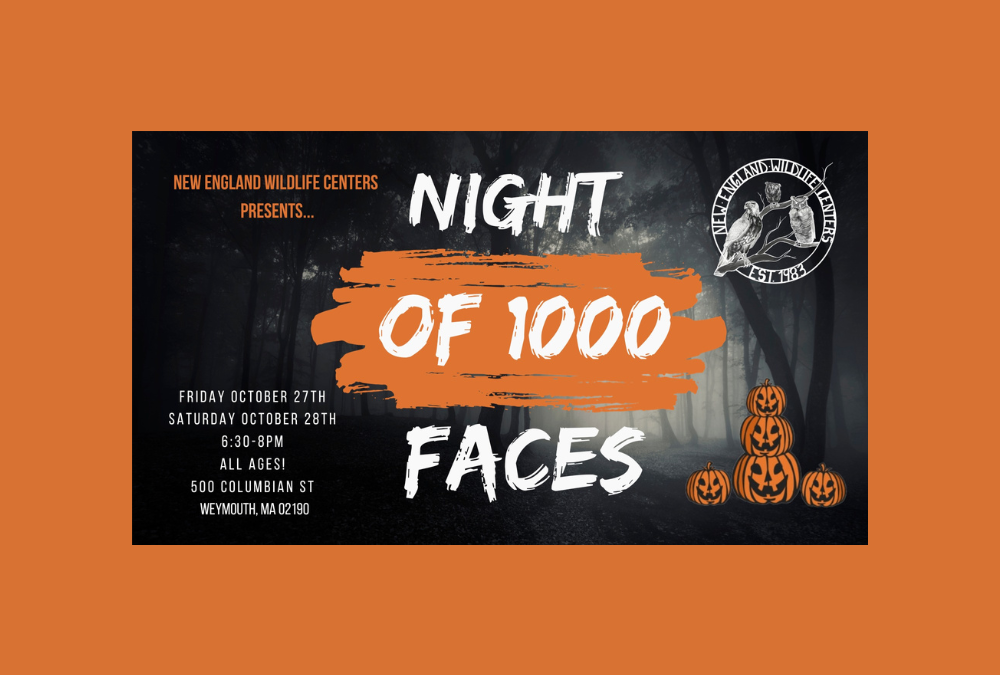 The Morning Show: Tues., Oct. 10, 2023