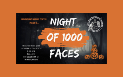 The Morning Show: Tues., Oct. 10, 2023