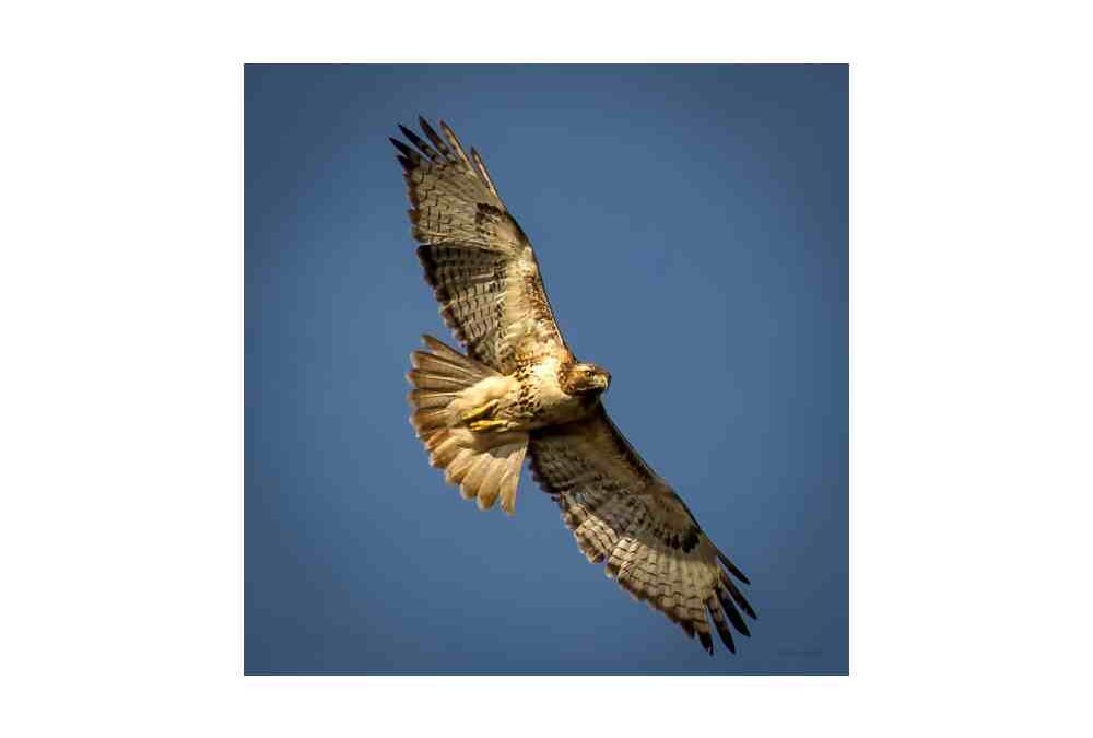 Walk of the Week: June 22, 2023