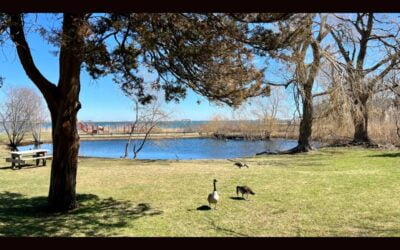 Plymouth’s Stephens Field Improvements Price Tag Is Five Million-CPA And ARPA Pay The Bill 