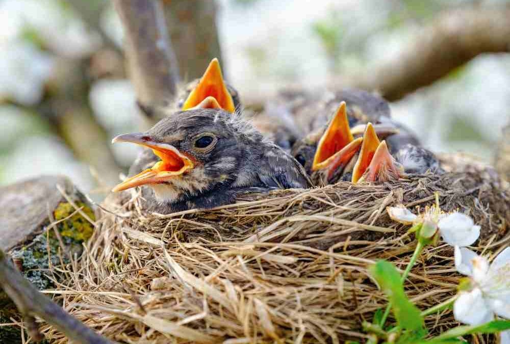 Walk of the Week: July 20, 2023