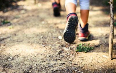 Walk of the Week: June 15, 2023