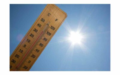 Walk of the Week: July 13, 2023