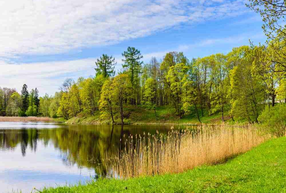 Walk of the Week: August 31, 2023