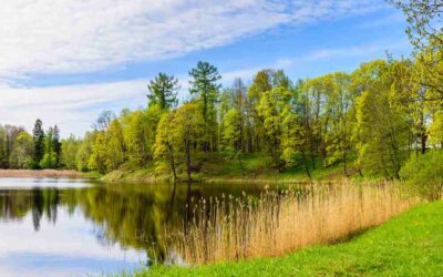 Walk of the Week: August 31, 2023