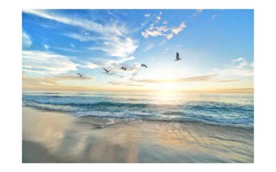 Walk of the Week: July 6, 2023