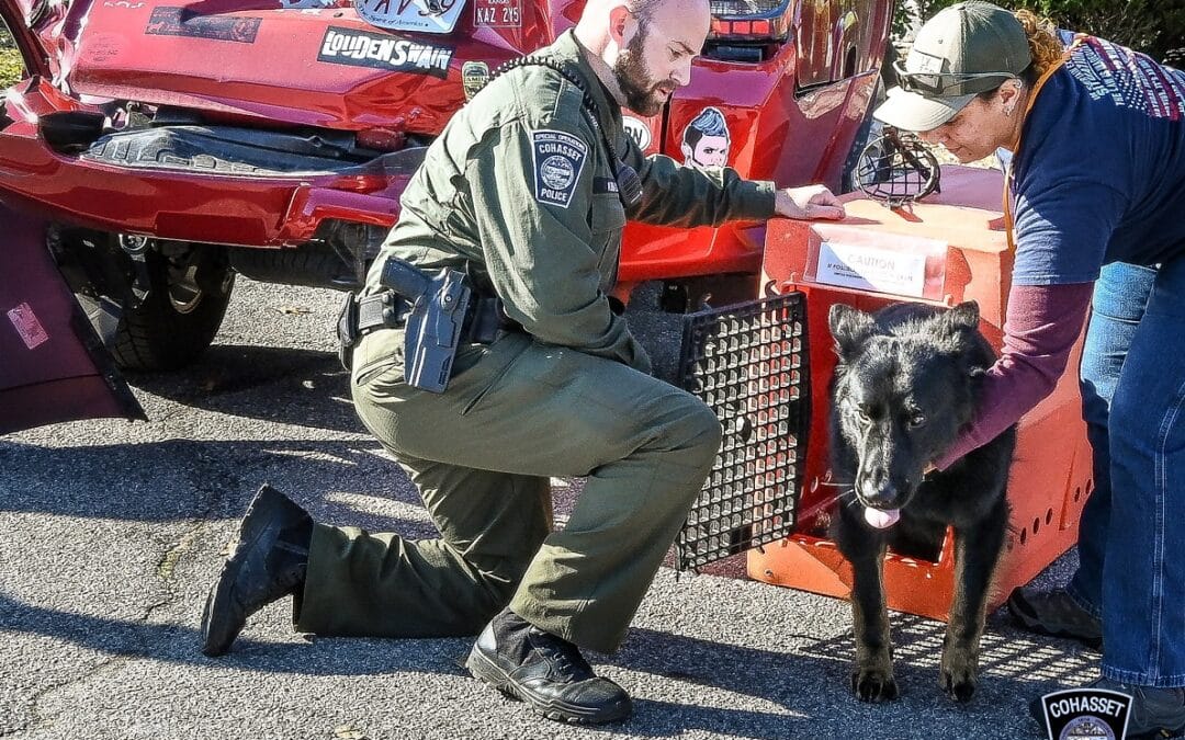 Dog Among Those Injured In Three Car Crash