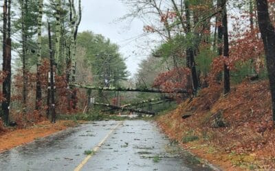 Local Officials Give Update On Storm Recovery