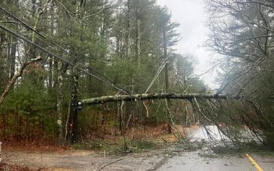 Local Officials Discuss Storm Disruptions