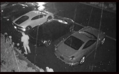 Police Investigating Theft From Norwell Car Dealership