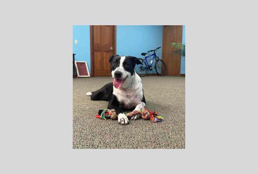 Attention please: Mac needs a new home!