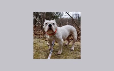 Elise is looking for an expert cuddler and a new home