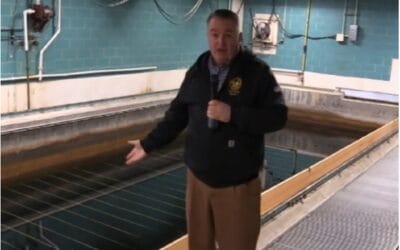 Scituate Water Treatment To Undergo Temporary Shutdown