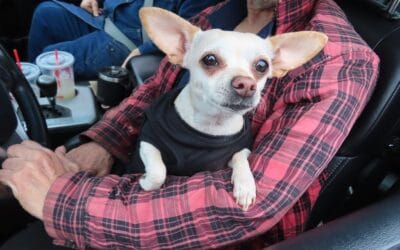 Scenes From The April 2024 Food Drive Thru