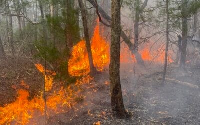Crews Battle Brush Fire In Marshfield
