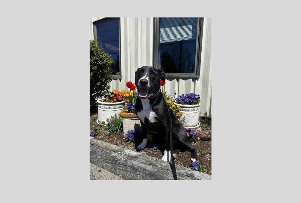 Birthday boy Nick would love to be in his forever