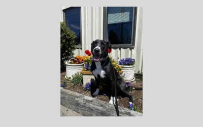 Birthday boy Nick would love to be in his forever