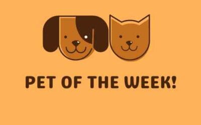 The Morning Show: Monday, October 7, 2024