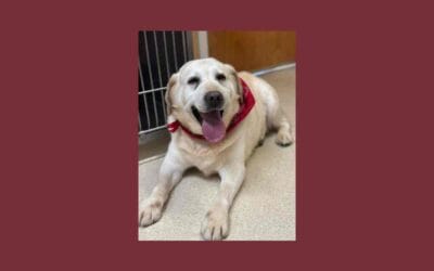 River hopes to wind his way into your heart