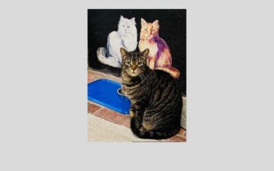 Jeepers the cat wants a human to love