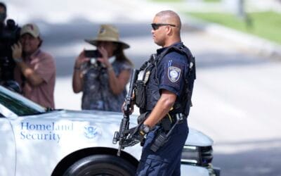 Terrorism Expert Reviews 2025