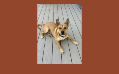 Meet Clyde, who has waited a long time to meet you!