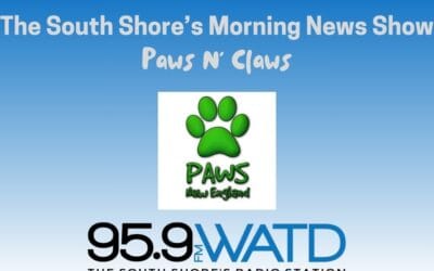 The Morning Show: Tuesday, October 29, 2024