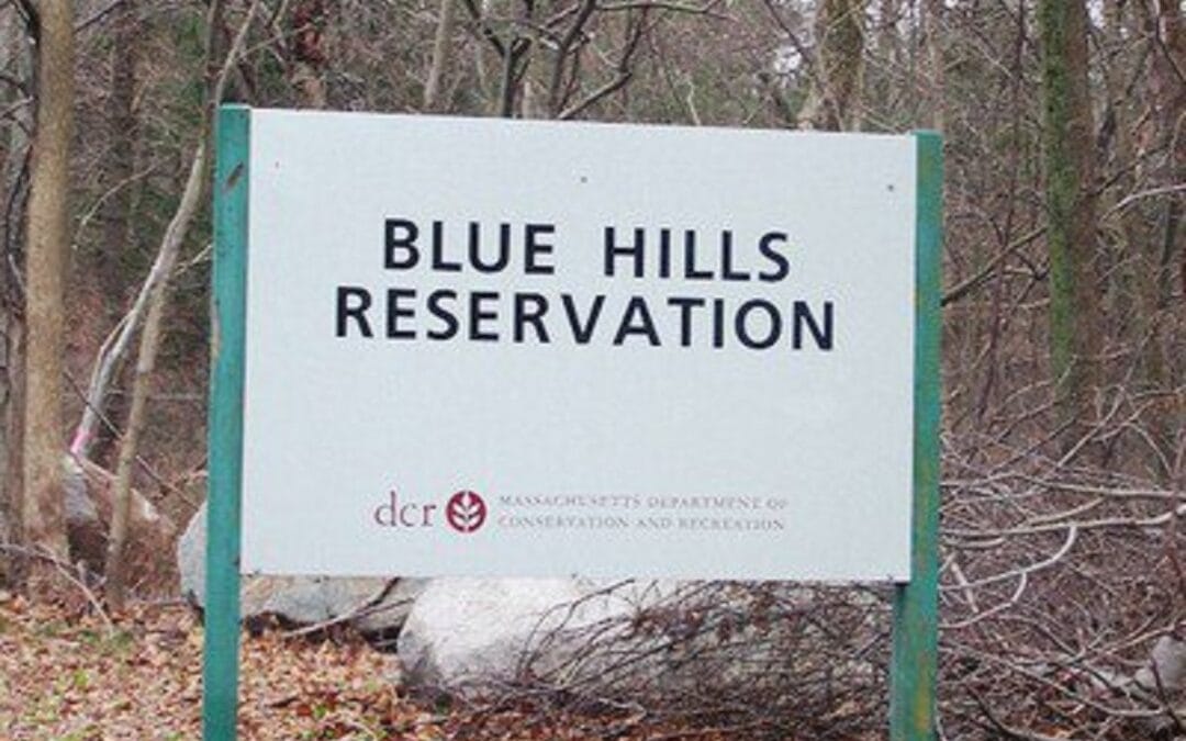 Fire In The Blue Hills