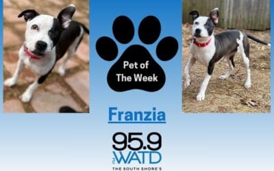Meet our Pet of the Week, Franzia