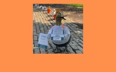 The Morning Show: Tuesday, October 1, 2024