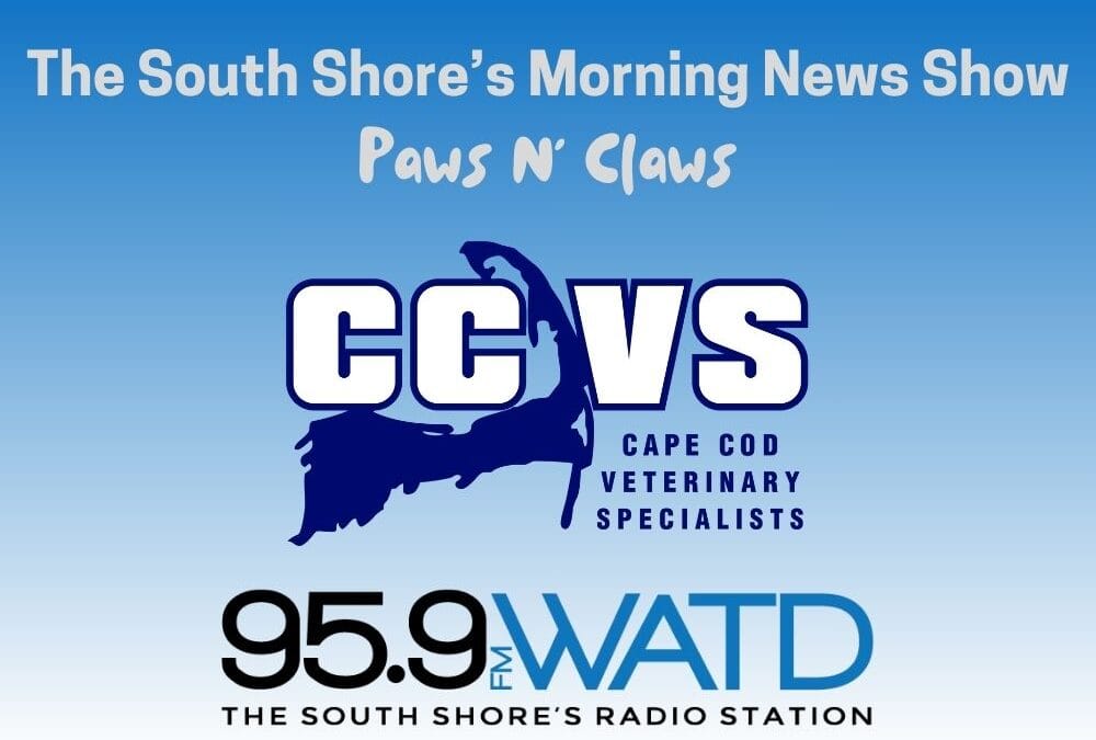 Paws N’ Claws: All About Parrots with Zoo/Exotics Veterinary Specialist Dr. Kyra Berg of Cape Cod Veterinary Specialists