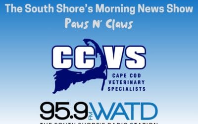 Paws N’ Claws: All About Parrots with Zoo/Exotics Veterinary Specialist Dr. Kyra Berg of Cape Cod Veterinary Specialists