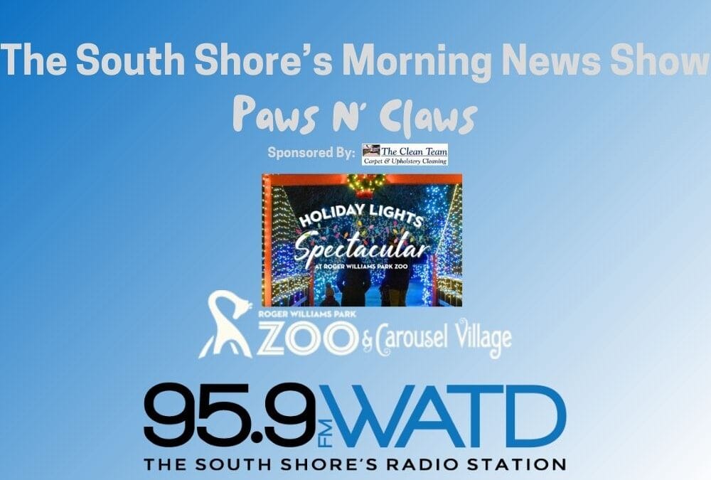 Paws N’ Claws: Roger Williams Park Zoo and their Holiday Lights Spectacular