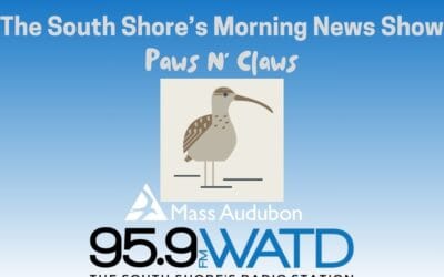 Listen for the Birds…Spring IS Coming! Paws N’ Claws with Mark Faherty of Mass Audubon Wellfleet Bay Wildlife Sanctuary