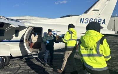Injured Turtles Depart From Marshfield Airport