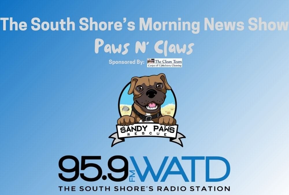 Paws N’ Claws with Sandy Paws Rescue and Special Furry Guest Buttercup!