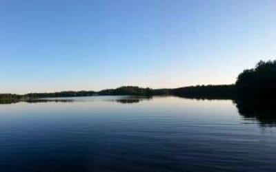Dead Birds Remain At Billington Sea Pond In Plymouth