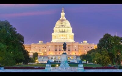 A Look Back At The Politics Of 2024 And What To Expect In 2025