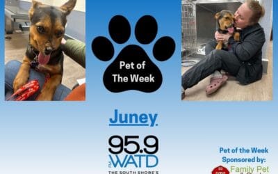 Meet our Pet of the Week, Juney