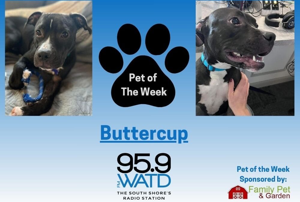 The Morning Show: Monday, January 6th