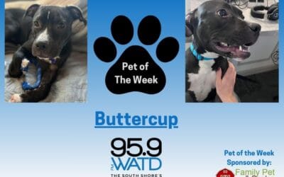 The Morning Show: Monday, January 6th