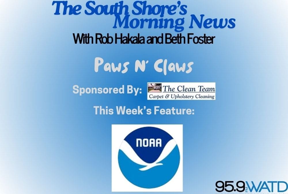 The Morning Show: Tuesday, January 28th