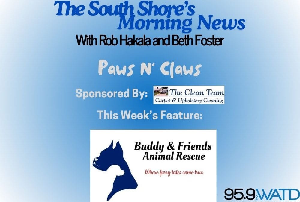 Paws N’ Claws: Tiffany McNeil of Buddy and Friends. Fun Event Coming Up and a Special Dog Needs their Fur-Ever Family